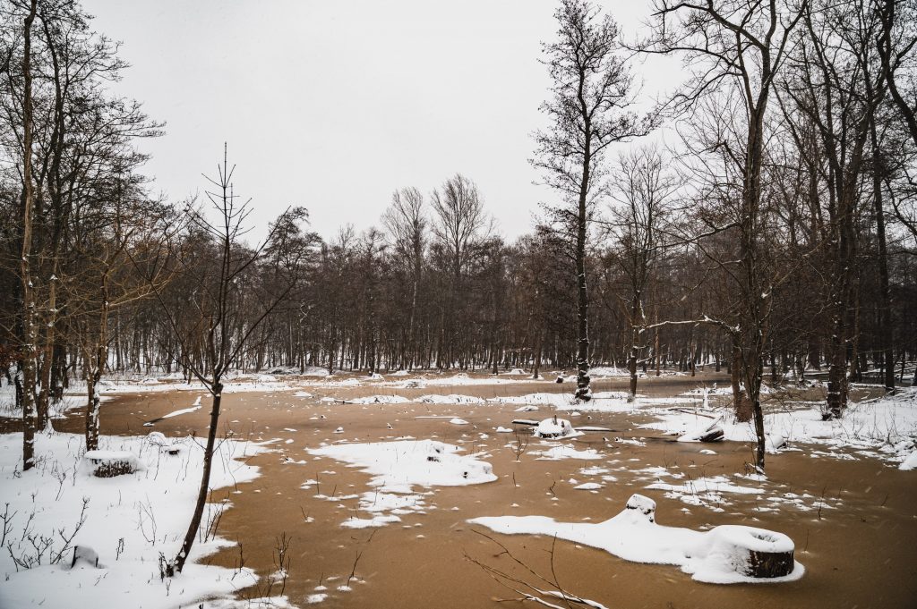 Onderwater gelopen duinen bevroren