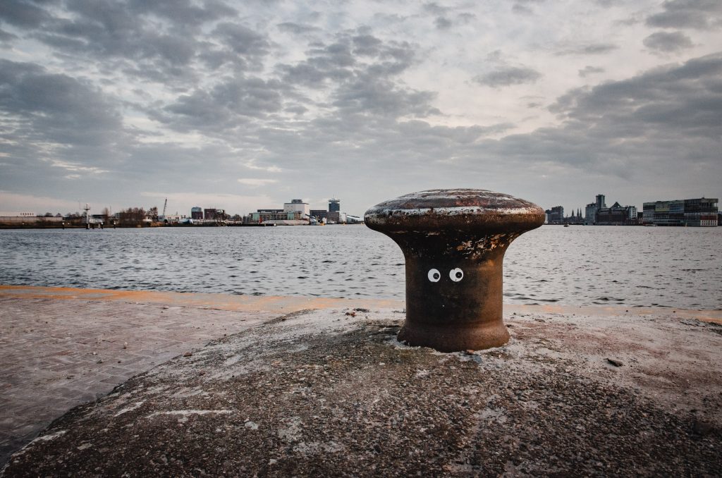 Bolder met ogen in Amsterdam