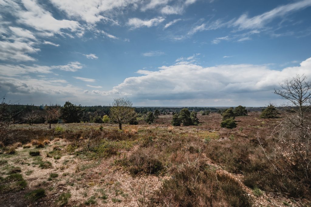 holterberg uitzicht landscape